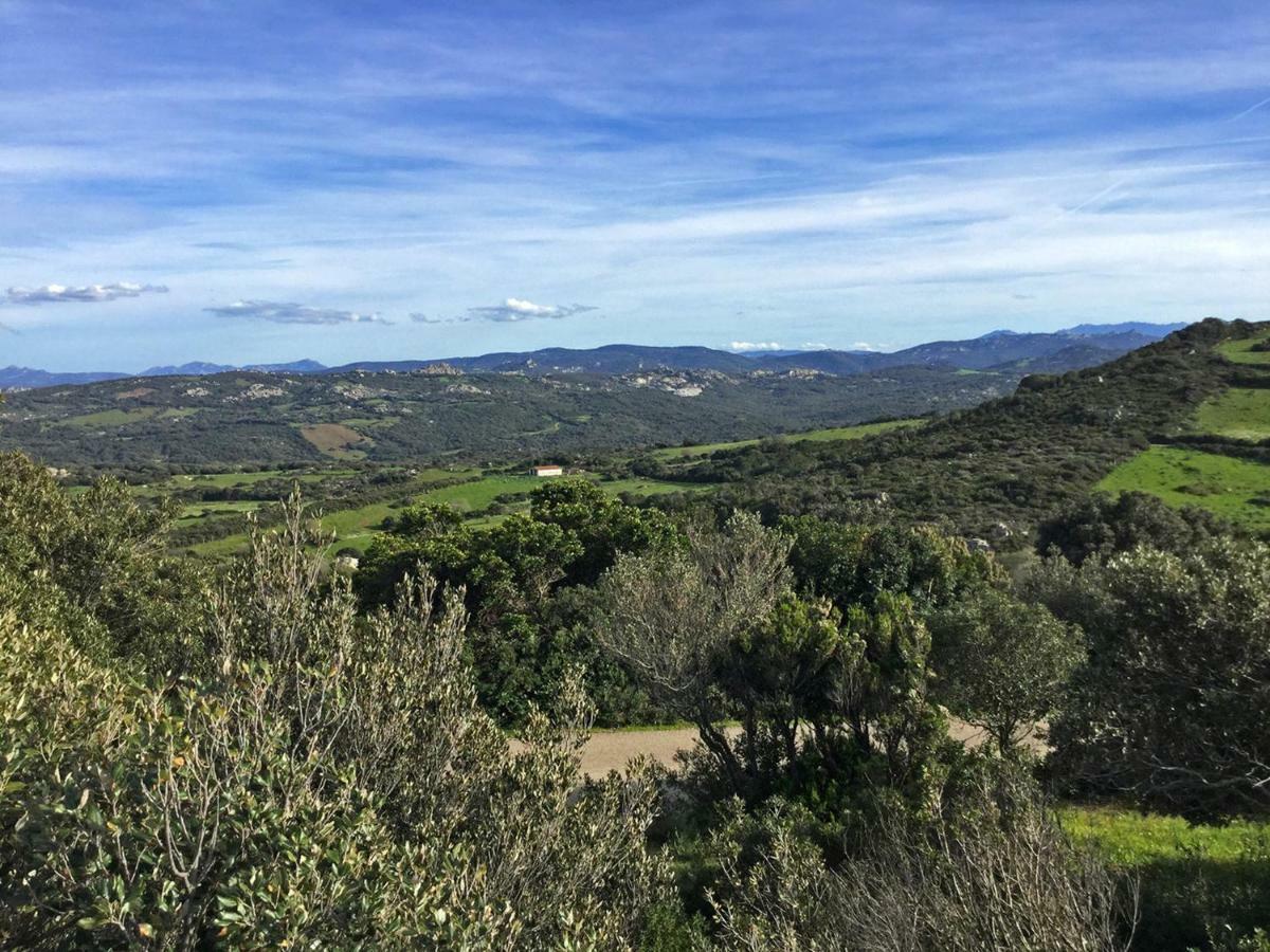 Agriturismo Fioredda 阿列恩图 外观 照片